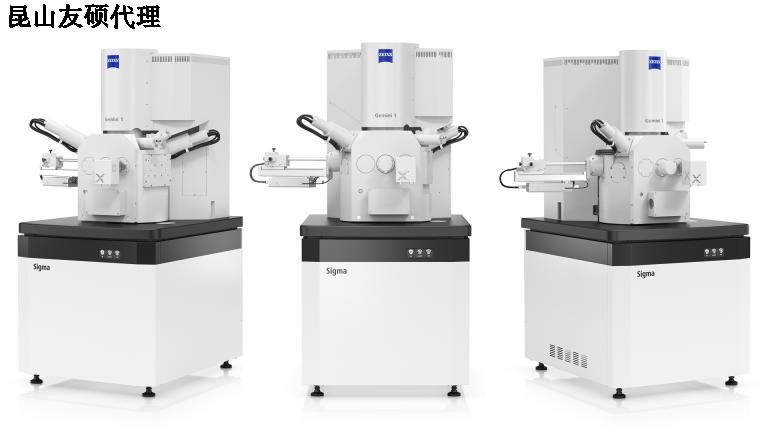 定安定安蔡司扫描电镜